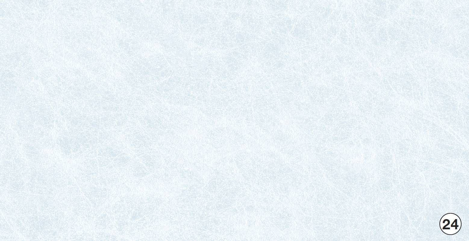 KLEEBIS D-C-FIX 0,45X2M KLAASILE 346-0350